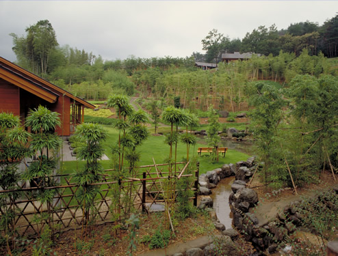 Bamboo garden