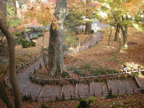 Autumn colour in Japanese garden