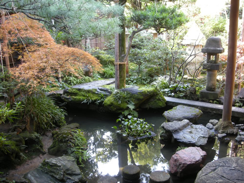Samurai's garden