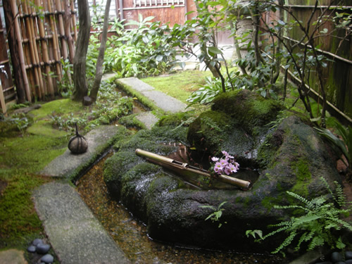 Tea garden in Samurai house