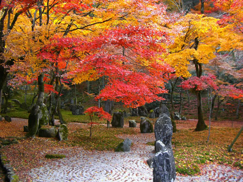 Zen garden in autumn